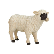 Mojo SHEEP EWE farm animals
