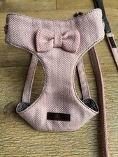 Wainwrights Dog Harness And