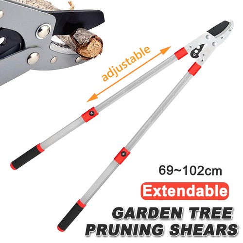Telescopic long handle - telescopic, lopper