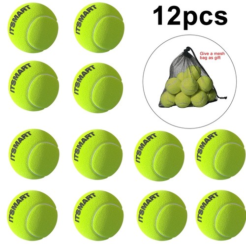12pcs tennis balls with mesh - with,