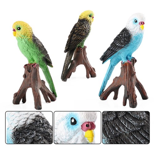 Delightful parrot ornament eye - parrot,