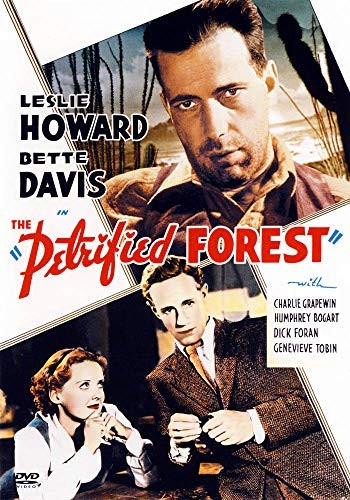 The petrified forest - petrified,
