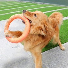 Indestructible Dog Ring Toy