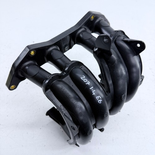 Peugeot 207 intake - 207,