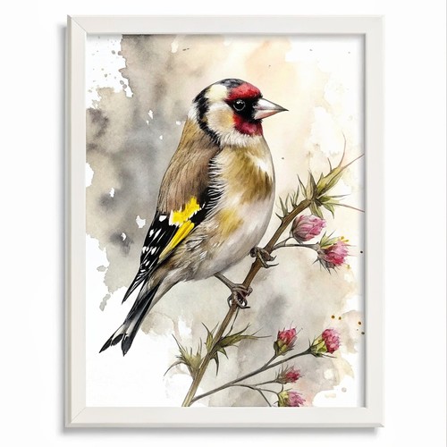 Goldfinch watercolour art - watercolour,