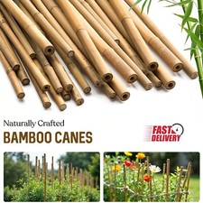 2FT 3FT 4FT 5FT 6FT Bamboo