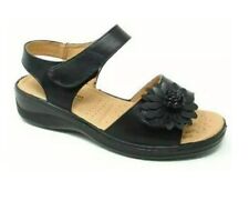 Dr Lightfoot Black Flower