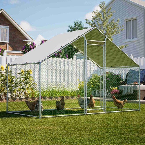 Chicken run cage walk - run, hen