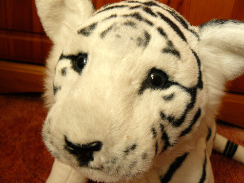 White tiger stuffed - tiger,