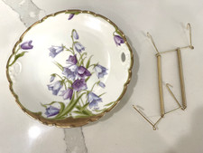 Antique Bavarian Hand Painted