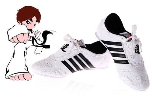 Taekwondo training shoe kung - taekwondo,