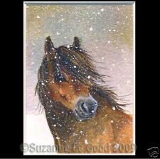 ACEO  LTD EDITION EXMOOR PONY HORSE PRINT FROM ORIGINAL PAINTING SUZANNE LE GOOD