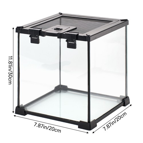 Small glass reptile terrarium - small,