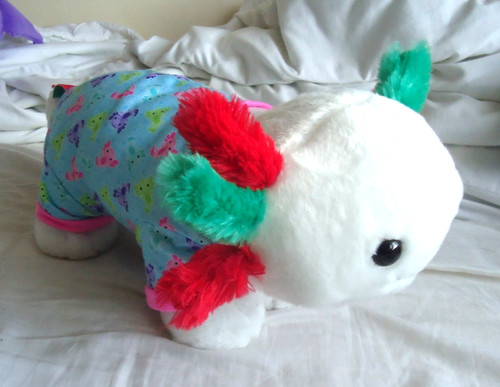 Build bear talking - build, a