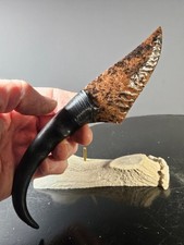 Naster fog Knapper Kenny