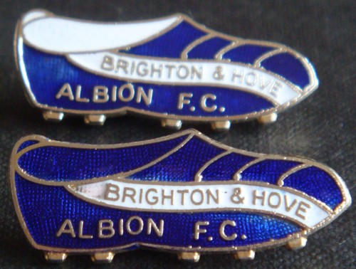 Brighton hove albion pair - brighton,