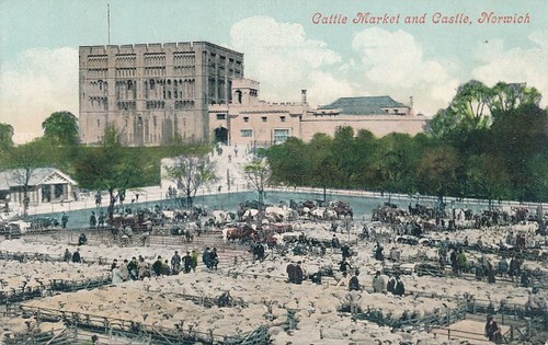 Cattle market and castle - cattle,