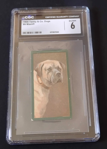 1900 taddy dogs 4 - &,