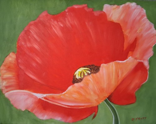 Poppy head original oil