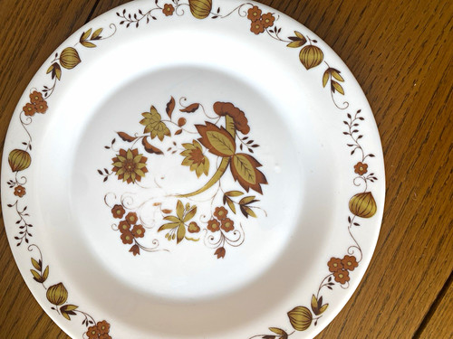 Arcopal glass dinner plate - glass,