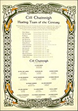 Kilkenny Hurling Team Of The