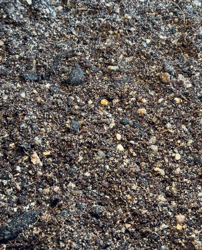 Bonsai soil mix high - bonsai,