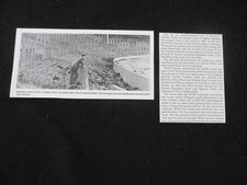 THIRD LANARK - Cathkin Park