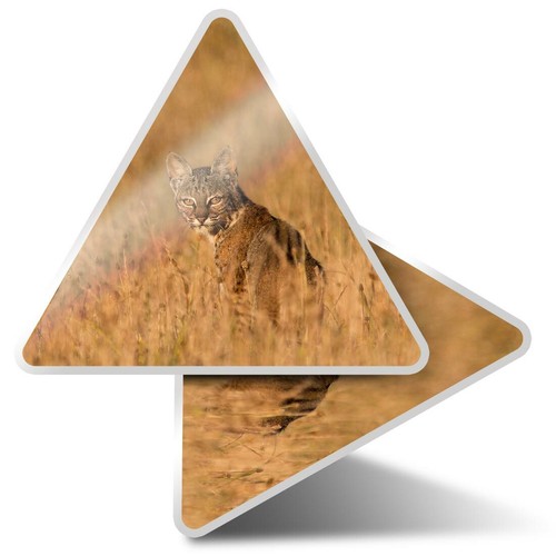 Triangle stickers 5cm - x, 7.5cm