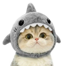 Cat Hat Shark Shaped