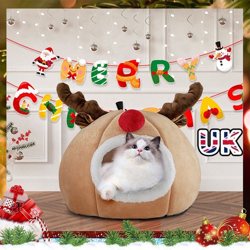 Pet christmas tree dog - tree,