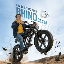 20 inch Electric Bike Off-Road