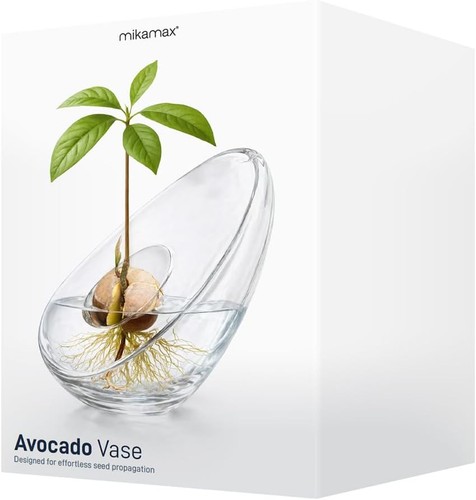 Avocado seed starter vase - seed,
