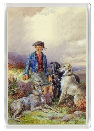 Deerhound dogs dog fridge - deerhound,