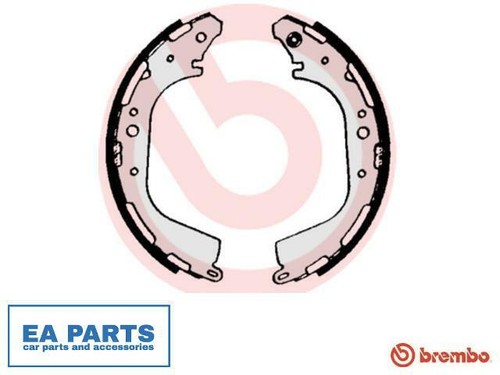 Brake shoe set - shoe, for