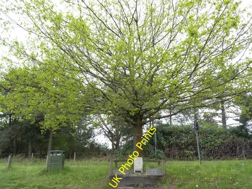 Photo 6x4 memorial - 6x4, to