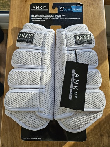 Anky silver technical - silver,