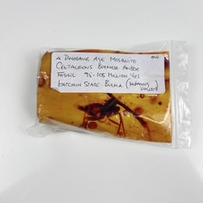 Cretaceous Burmese Genuine