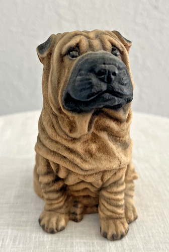 Castagna shar pei dog - castagna,