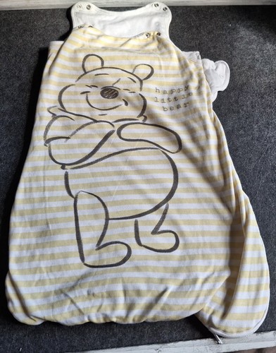 Disney baby winnie the - the, pooh