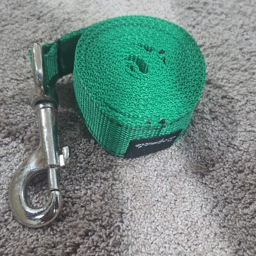 Strong dog lead long - lead,