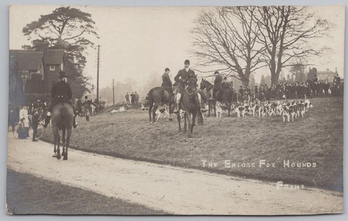 Frant sussex meet - frant, the