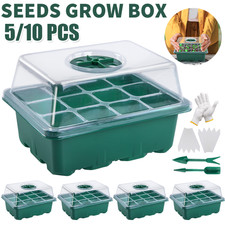 5/10 Pack Holes Seed Starter