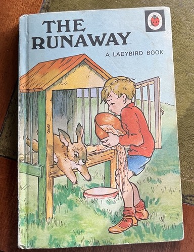 The runaway ladybird book - the,