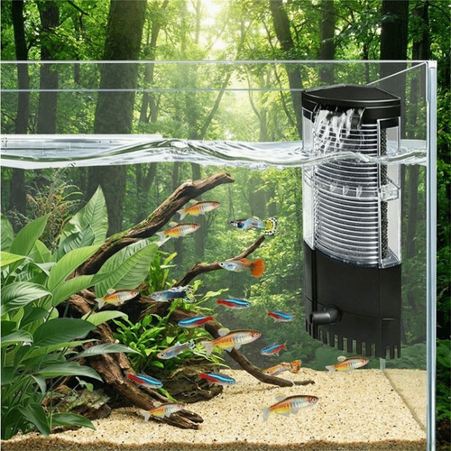 Aquarium fish tank - in,