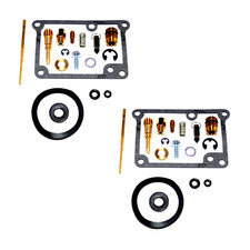 2x Carburetor Repair Kit for