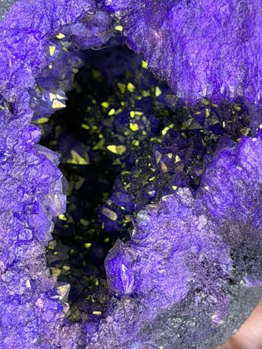 Large dyed purple - dyed,