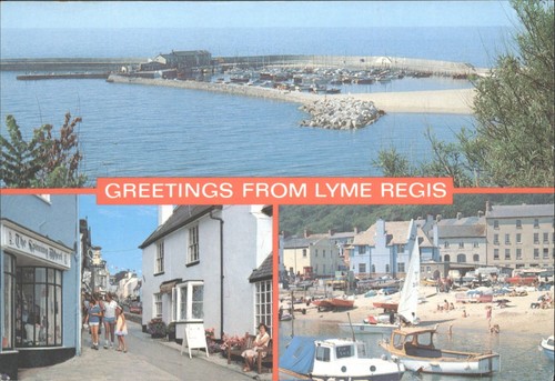 Vintage salmon postcard - vintage,