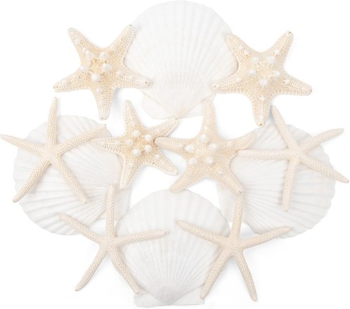 12pcs mixed starfish - mixed, and