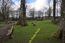 Photo A1 Pembrokeshire : Manor