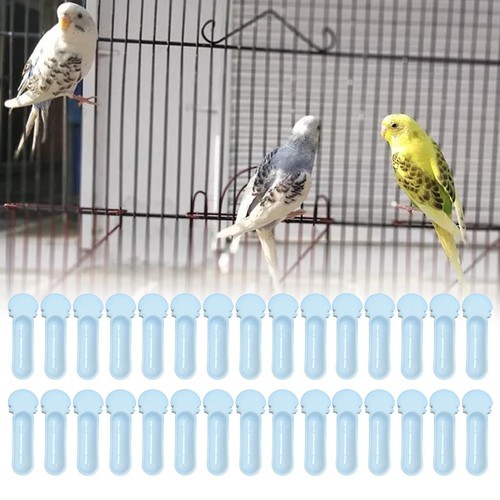 Bird feeder easy clean - clean,